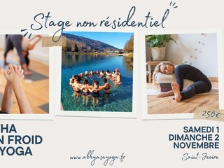 Stage Yoga & Bain Froid