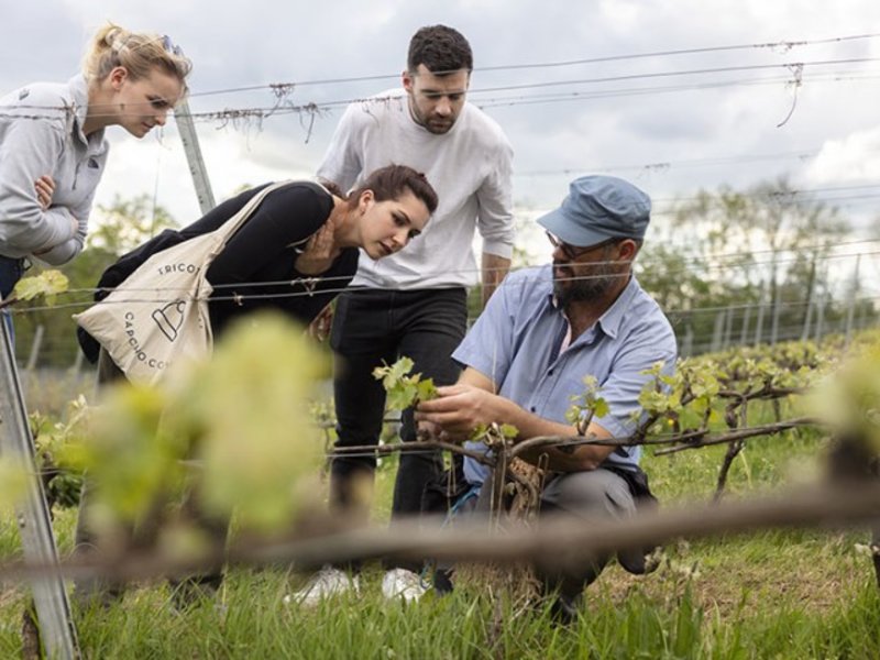 Evenement La Cave Ô Secrets