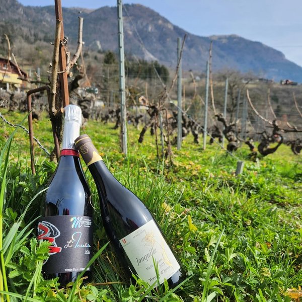 Evenement Ayze Montessuit