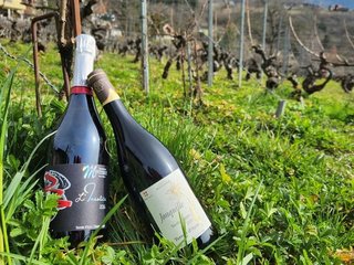 Retrouvez-nous à la Foire Internationale de La Roche-sur-Foron