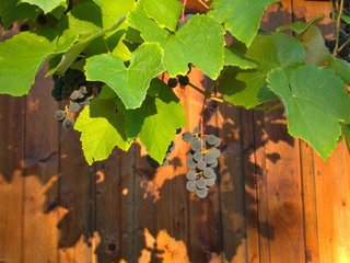 Notre journée portes ouvertes ! 