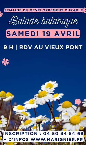 Evenement Mairie de Marignier