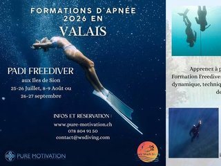 Vous rêvez d'explorer le monde sous-marin en toute sérénité ? 