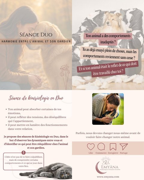 Petite Annonce Emyāna Kinésiologie