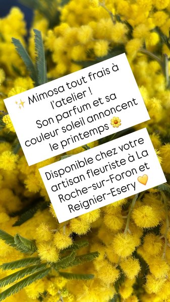 Petite Annonce Au langage des Fleurs