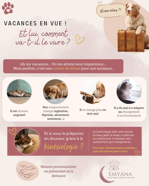 Petite Annonce Emyāna Kinésiologie