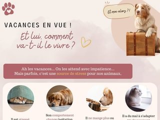 VACANCES EN VUE ! Et lui. comment va-t-il le vivre?