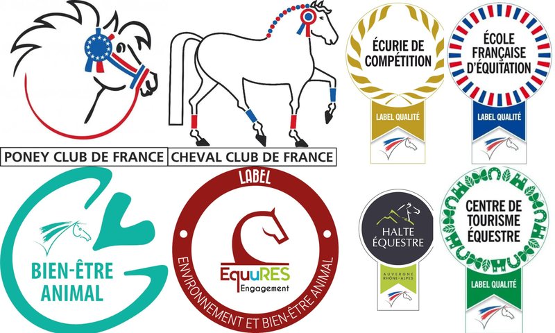 Petite Annonce Ecole d’équitation de Peillonnex