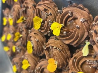 Recherche apprenti.e Cuisine