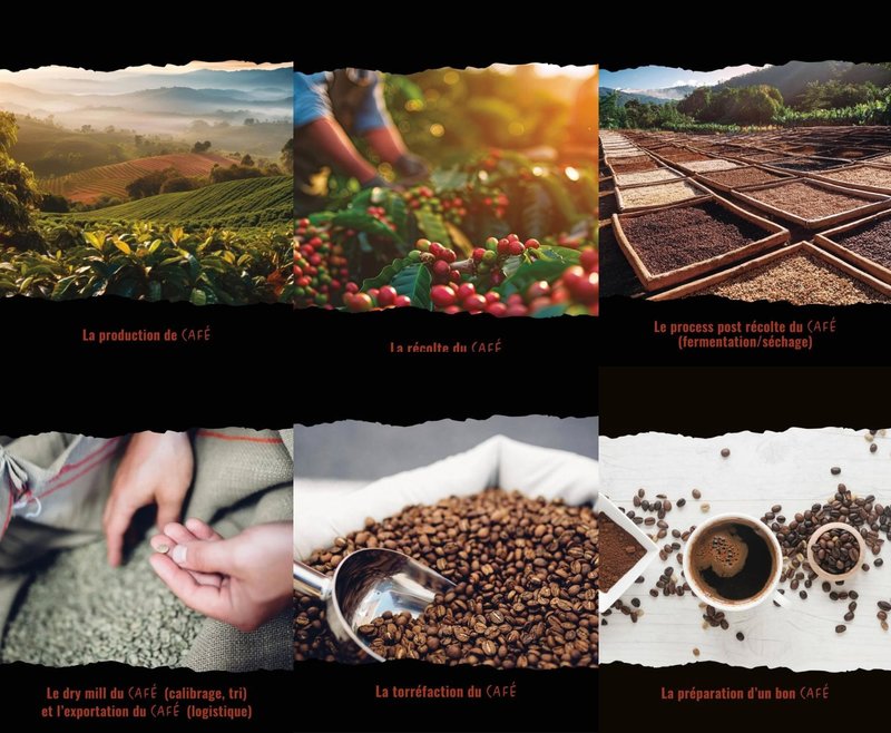 Petite Annonce Altitude Café