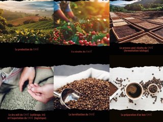 Les étapes d'un bon café !