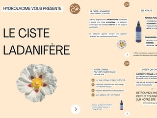 Le Ciste Ladanifère