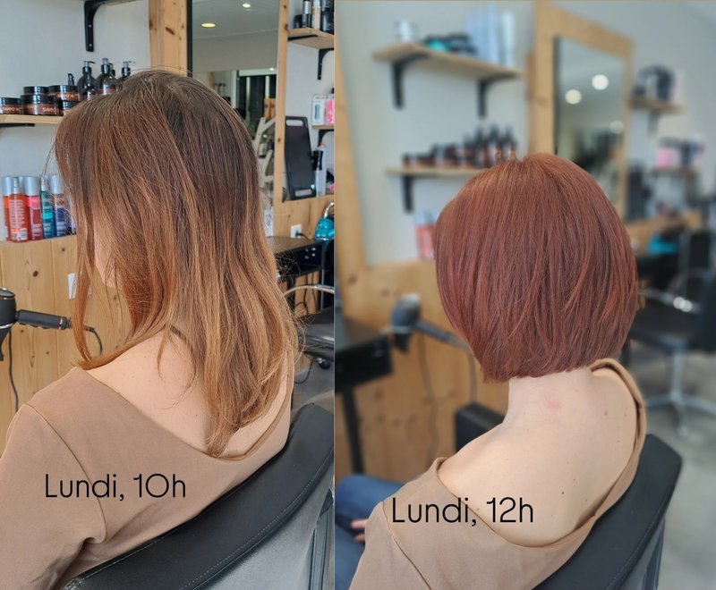 Petite Annonce MS Salon