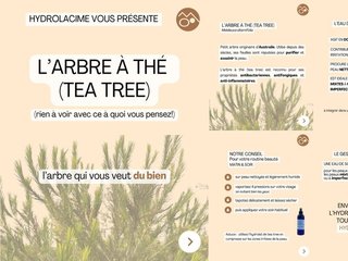 L'arbre à thé "Tea TreE"