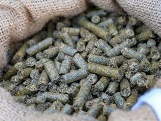 Du marc de café qui produit de l'énergie !