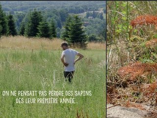 L'impact de la canicule...