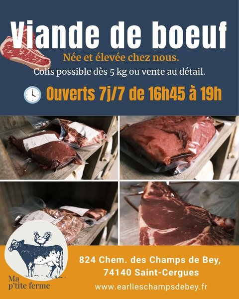 Petite Annonce Les Champs de Bey