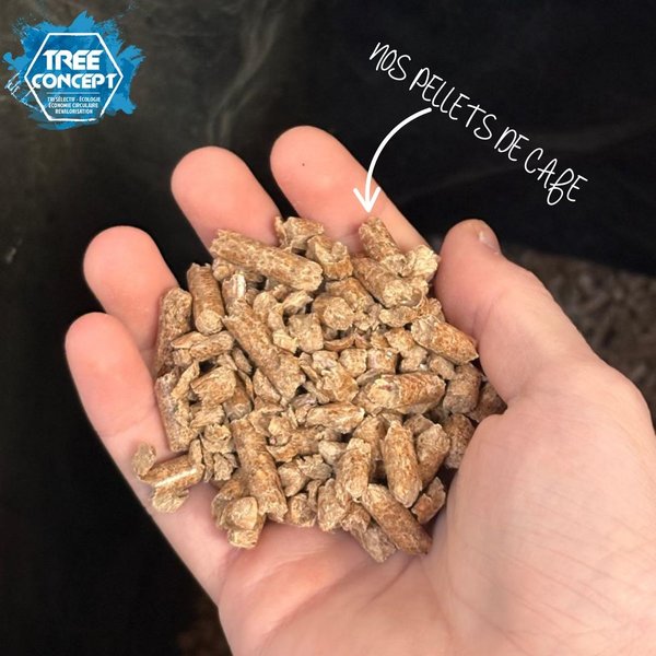 Petite Annonce Environ Alpes / TreeConcept