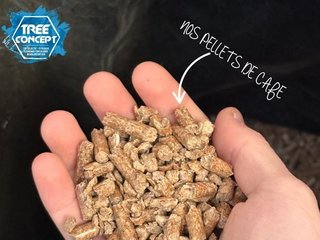 Journée mondiale de l’ingénierie pour le développement durable. 