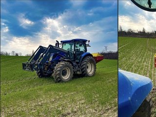 Le blé grandit... et il faut l'accompagner !