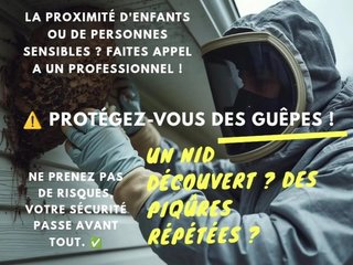 Attention aux guêpes !