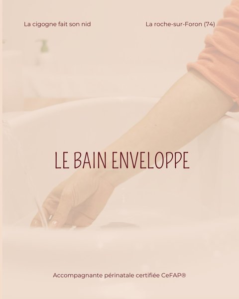 Petite Annonce Petit à petit la cigogne fait son nid