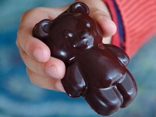 Nos Oursons des Bois