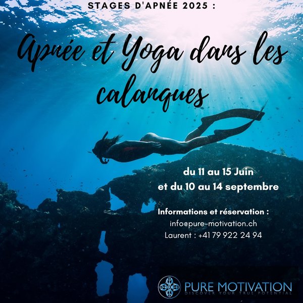 Petite Annonce Pure Motivation