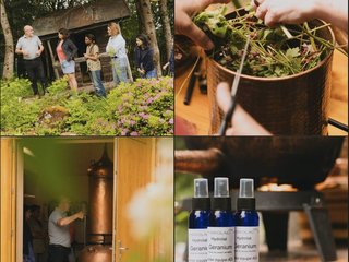 Connaissez-vous la différence entre un hydrolat et une huile essentielle ? 
