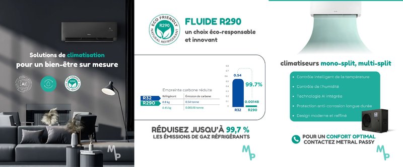 Petite Annonce Metral Passy