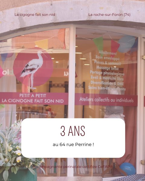 Petite Annonce Petit à petit la cigogne fait son nid