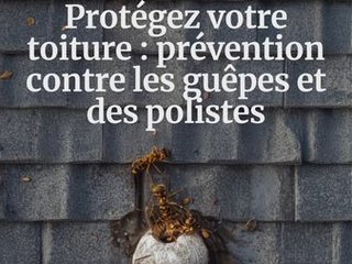 PROTÉGEZ VOTRE TOITURE AVANT L'ÉTÉ ! 
