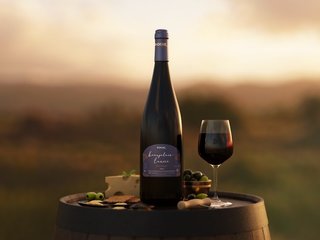 En quête d’une idée cadeau pour les fêtes ?