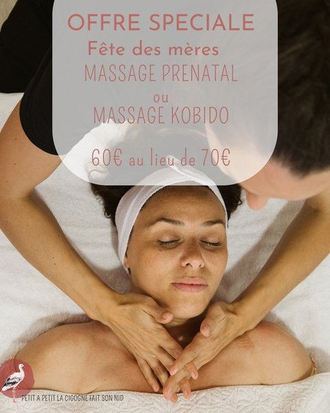 Offre Ponctuelle Petit à petit la cigogne fait son nid