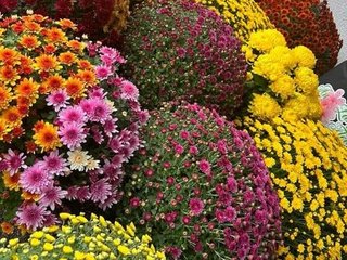 La Toussaint approche…