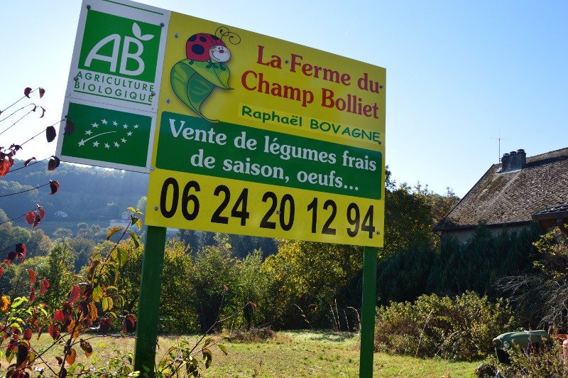 professionnel
