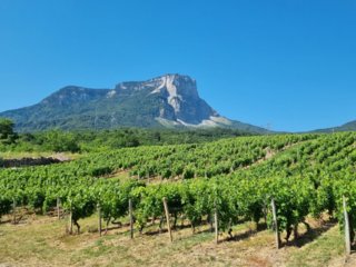 Domaine Cendre Cartier
