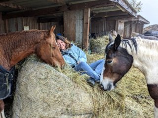 Deborah Communication Animale