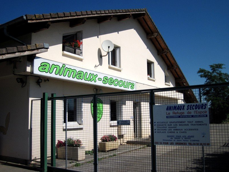professionnel